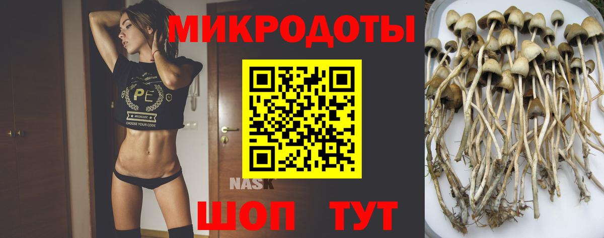 Галлюциногенные грибы Psilocybine cubensis  Вход с VPN  Троицк 
